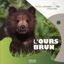 L'ours