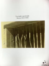 La nuit carcérale - souffrir et éviter la souffrance en prison, le cas français (1944-1981)