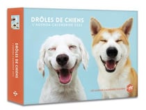 L'agenda - calendrier droles de chiens 2022