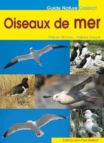 Oiseaux de mer