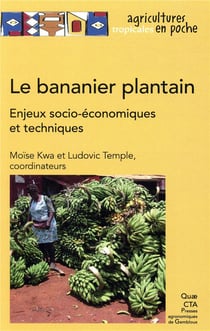 Le bananier plantain