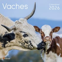 Vaches (édition 2026)