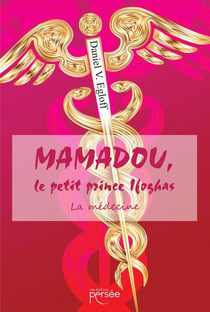 Mamadou le petit prince Ifoghas : la médecine