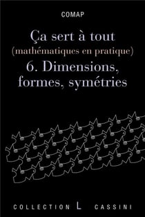 Ça sert à tout (mathématiques en pratique) Tome 6 - dimensions, formes et symétries