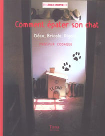 Comment epater son chat deco  bricolo  rigolo