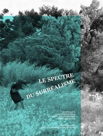 Le spectre du surréalisme - survivance du surréalisme dans la photographie contemporaine