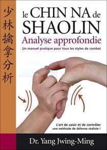 Le chin na de shaolin - analyse approfondie