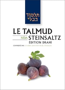 Le Talmud Steinsaltz T42 - Nida : Nida
