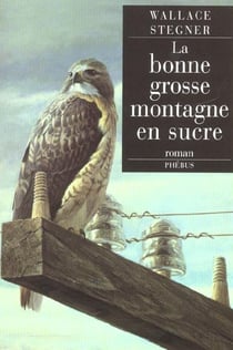 La bonne grosse montagne en sucre