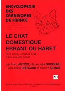Le chat domestique errant ou haret - felis catus linnaeus, 1758 (felis silvestris catus)