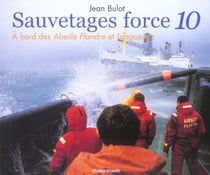 Sauvetages force 10 - a bord des abeille flandre et languedoc