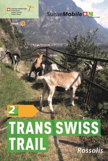 La suisse a pied trans swiss trail