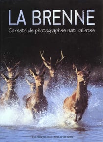 Brenne