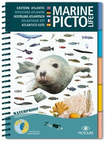 Marine Pictolife : Atlantique Est