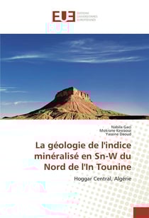 La geologie de l'indice mineralise en sn-w du nord de l'in tounine