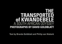 David goldblatt the transported of kwandebele