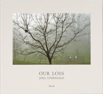 Joel sternfeld our loss