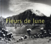 Fleurs de lune - la végétation afroalpine du Rwenzori