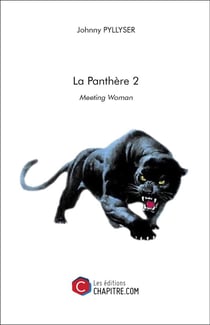 La panthère 2 - meeting woman