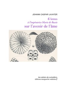 Six lettres à l'imperatrice Marie de Russie sur l'avenir de l'âme