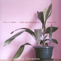 Lucky dog recordings 03-04