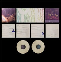 THE YEAR OF HIBERNATION 10TH ANNIVERSARY EDITION