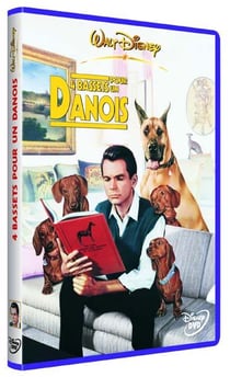 4 bassets pour un danois