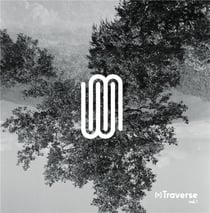 (N)Traverse vol. 1 (vinyl)