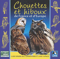 Chouettes et Hiboux