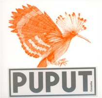 Puput