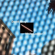 White ladder (2020 remaster)
