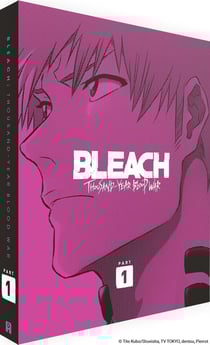 Bleach : Thousand-Year Blood War - Partie 1