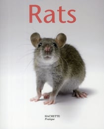 Rat