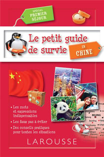 Le petit guide de survie en chine - spécial séjour linguistique