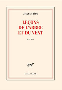 Leçons de l'arbre et du vent