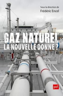Gaz naturel, la nouvelle donne