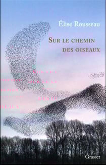 Sur le chemin des oiseaux