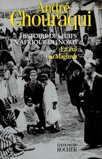 Histoire des juifs en Afrique du nord t.1 - en exil au Maghreb