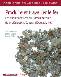Recherches archéologiques n.16 : produire et travailler le fer - les ateliers de l'est du Bassin parisien du Ve siècle av. J.-C. au Xe siècle apr. J.-C.