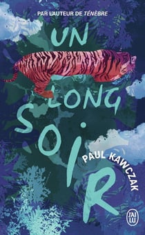 Un long soir