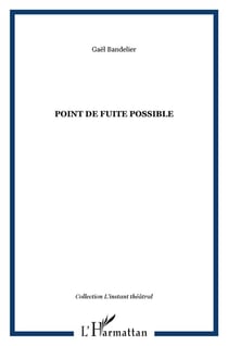 Point de fuite possible