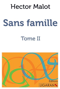Sans famille Tome 2