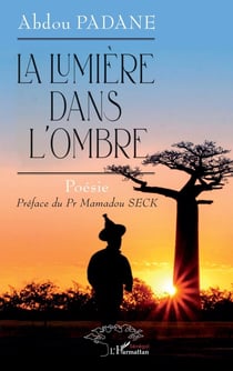 La lumière dans l'ombre