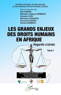 Les grands enjeux des droits humains en Afrique : Regards croisés Tome 1