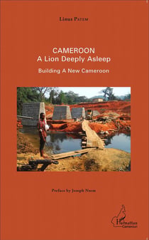 Cameroon - a lion deeply asleep - building a new Cameroon