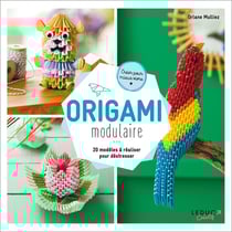 Origami modulaire - 20 modèles à réaliser pour déstresser