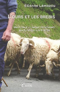 L'ours et les brebis