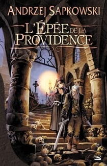 The witcher (le sorceleur) Tome 2 : l'épée de la Providence