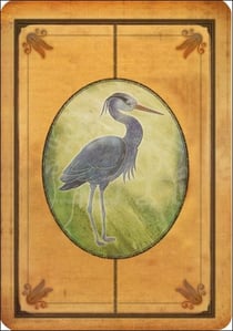 Messages de votre animal totem - coffret
