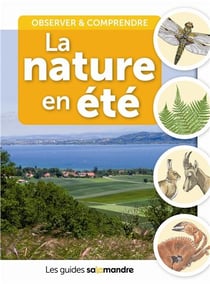 La nature en été